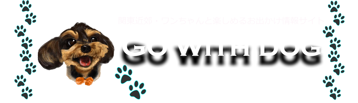 Go with dog