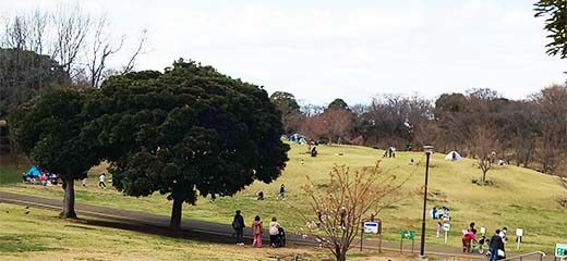 3月の根岸森林公園でお散歩